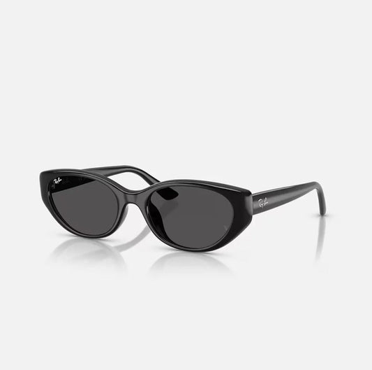 Ray-Ban 4457D Black Frame Gray Lens